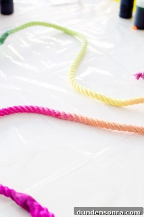 How to Make a Vibrant DIY Multicolor Dog Leash 8 A rainbow tie dye rope
