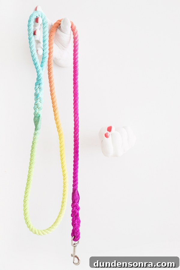 How to Make a Vibrant DIY Multicolor Dog Leash 9 Tie dye leash