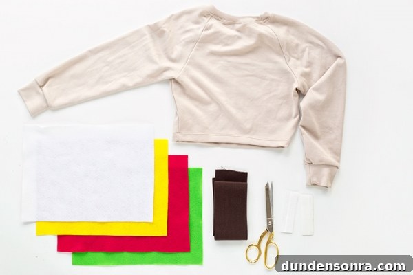 DIY Burger Costume Ideas: Creative Homemade Burger Halloween Outfit 5 Materials for a burger costume