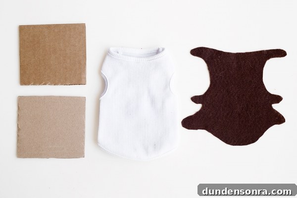 S'mores costume materials