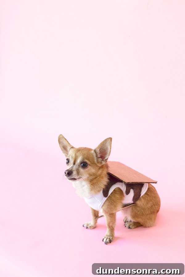 A dog in a smores costume 