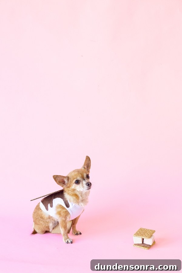 A dog in a smores costume 