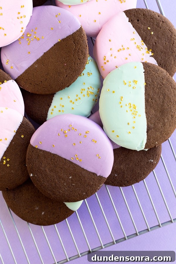Color Dipped Gingerbread Cookies | studiodiy.com