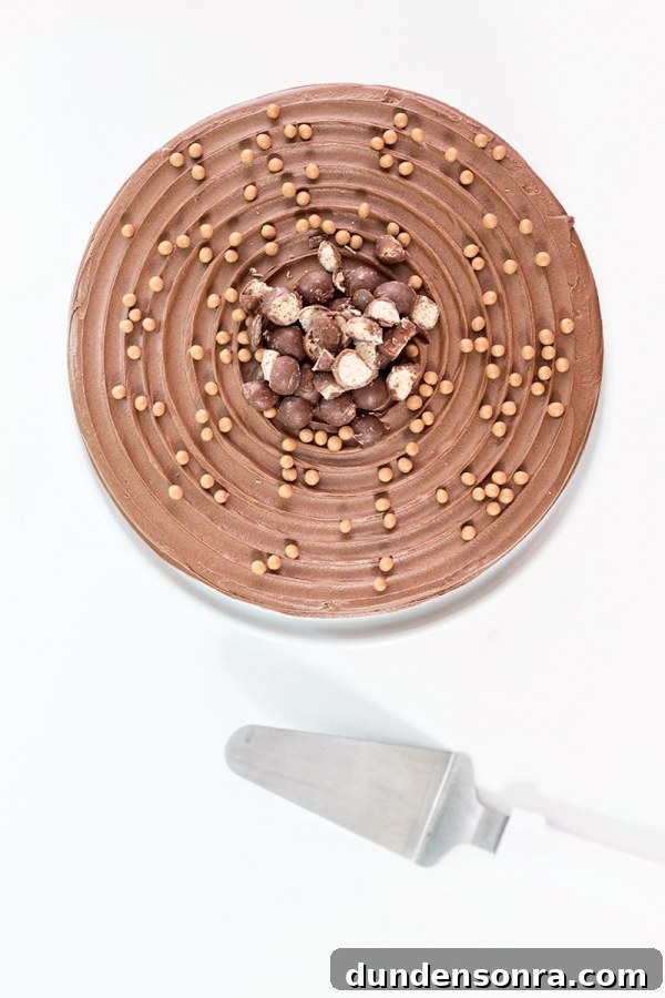 Sugar Fix: Cake Monkey — Unique Dessert Recipes & Treat Ideas 10 The top of a chocolate dessert