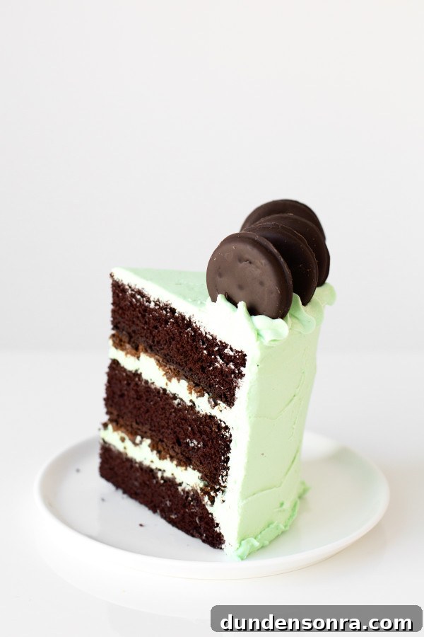 Thin Mint Cake | studiodiy.com