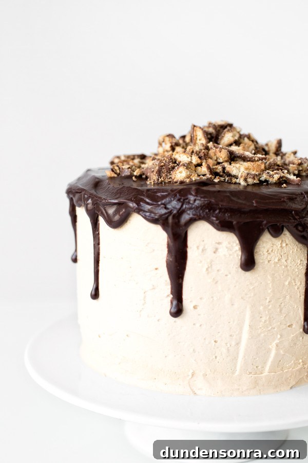 Tagalong Cake | studiodiy.com