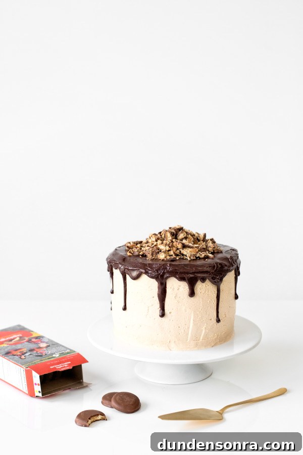 Tagalong Cake | studiodiy.com