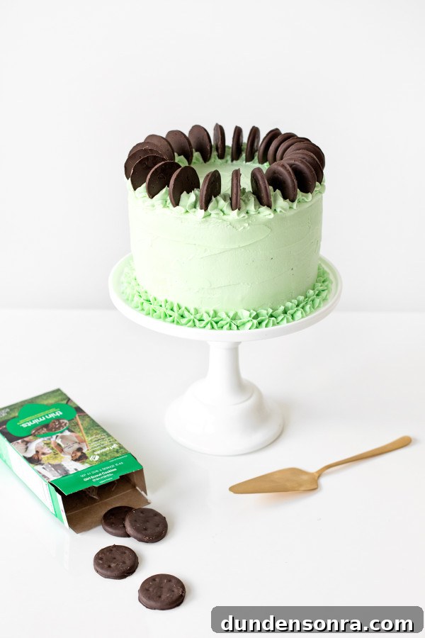 Thin Mint Cake | studiodiy.com