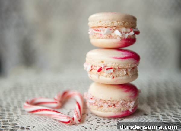 peppermint-macaron-step-by-step-tutorial-stacy-able-photography peppermint-macaron-step-by-step-tutorial-stacy-able-photography