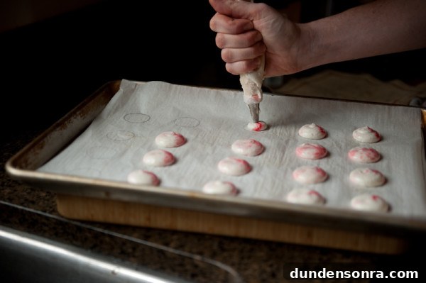 macaron-step-by-step-tutorial-stacy-able-photography-pipe-macarons-swirl macaron-step-by-step-tutorial-stacy-able-photography-pipe-macarons-swirl