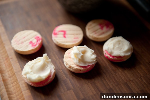 macaron-step-by-step-tutorial-stacy-able-photography-fill-with-buttercream macaron-step-by-step-tutorial-stacy-able-photography-fill-with-buttercream