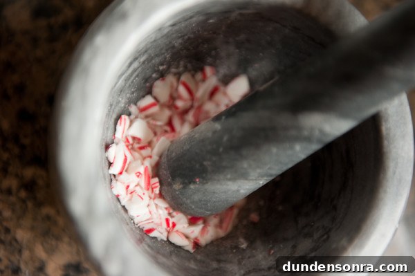 macaron-step-by-step-tutorial-stacy-able-photography-crushed-candy-canes macaron-step-by-step-tutorial-stacy-able-photography-crushed-candy-canes