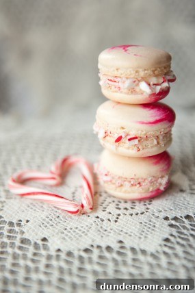 macaron-step-by-step-tutorial-stacy-able-photography-peppermint-macarons