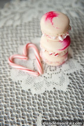 macaron-step-by-step-tutorial-stacy-able-photography-peppermint-macaron macaron-step-by-step-tutorial-stacy-able-photography-peppermint-macaron