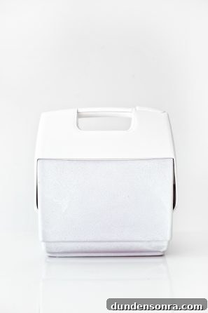 A cooler