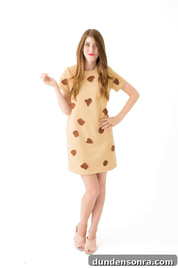 DIY Chocolate Chip Cookie Costume