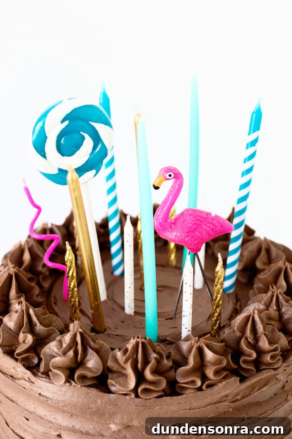 A chocolate cake with candles on it