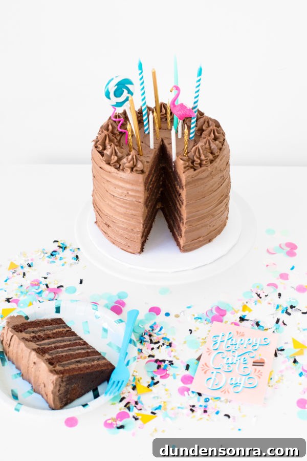 Chocolate cake with candles 