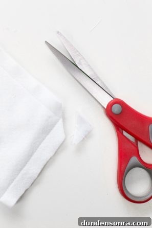 A pair of scissors