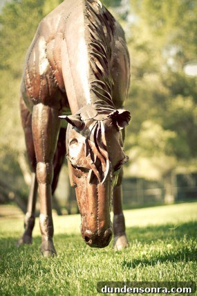 calamigos-ranch-horse