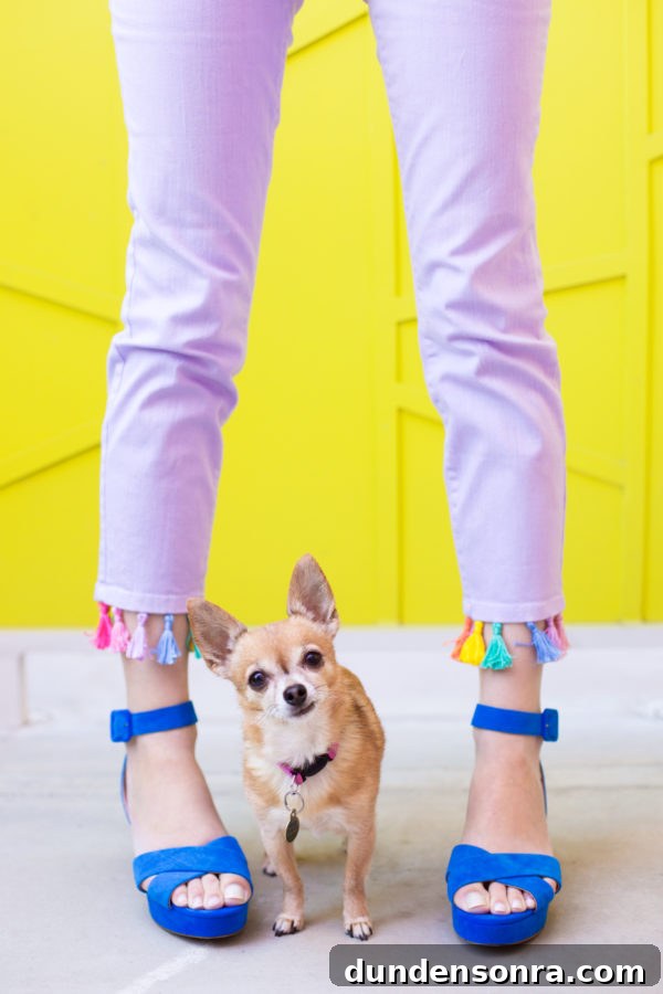 DIY Tassel Jeans: How to Add Trendy Tassel Trim to Your Denim 19 Purple jeans and a chihuahua