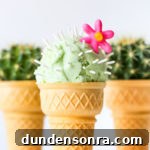 Cactus Ice Cream Cones: How to Make Unique Prickly Pear Cones 5 Cactus ice cream