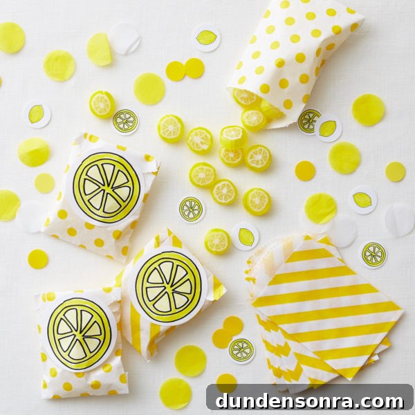 Cute Lemonade Stand Printables + Giveaway with Darcy Miller 3 Lemon crafts
