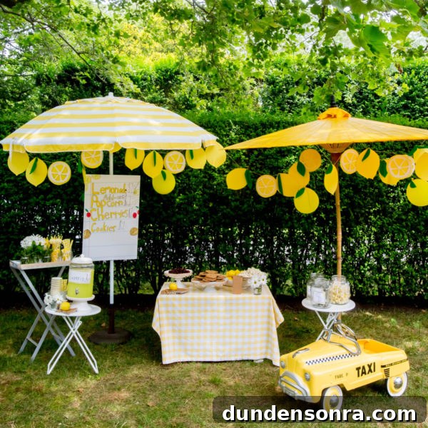 Cute Lemonade Stand Printables + Giveaway with Darcy Miller 4 Lemonade stand