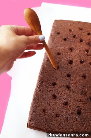 Chocolate cake with holes