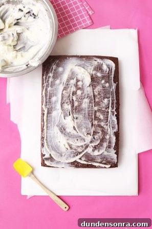 Chocolate cake with vanilla frosting 