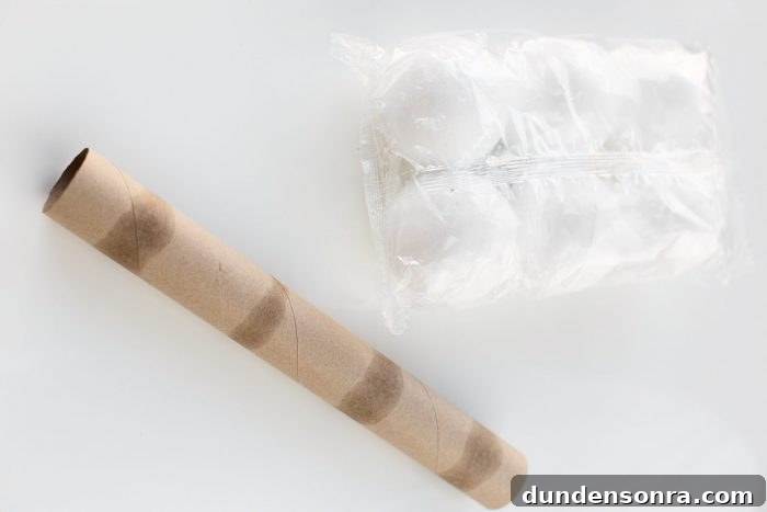 Homemade Rock Candy Costume Guide for Kids and Adults 4 Craft materials