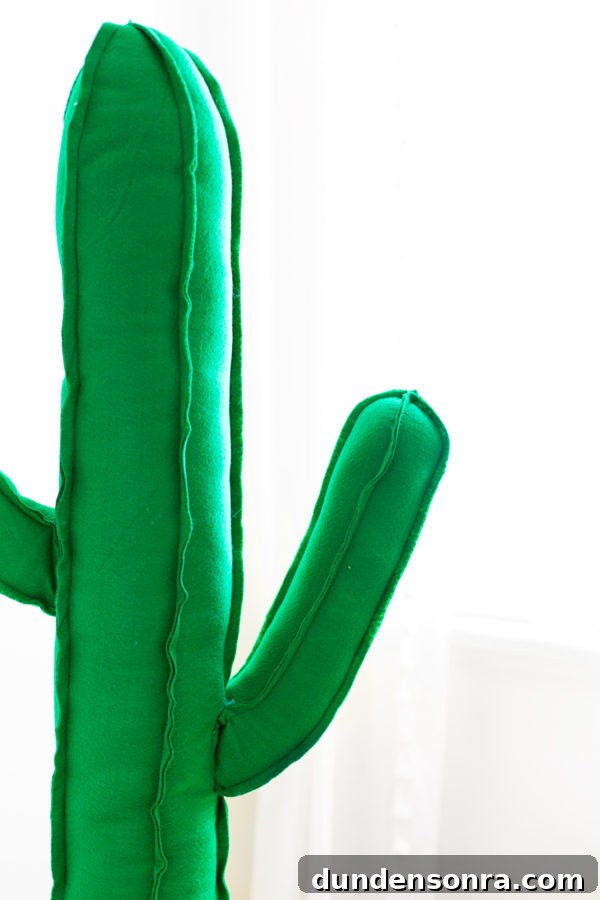 Make a Giant Plush Cactus: Step-by-Step Sewing Tutorial 3 A close up of a cactus toy