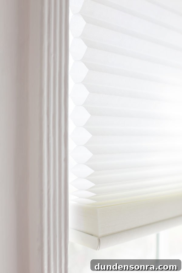 A close up of a shade