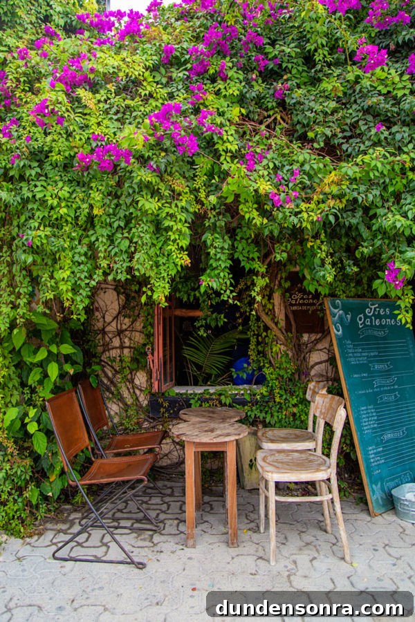 A table under plants