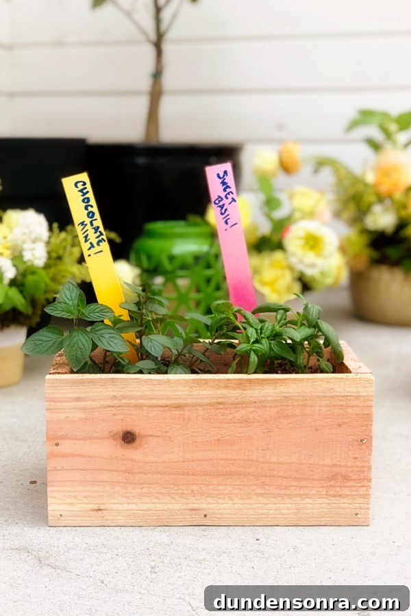 What Makes Your Backyard Special? Share What You Love 4 A plant with labels