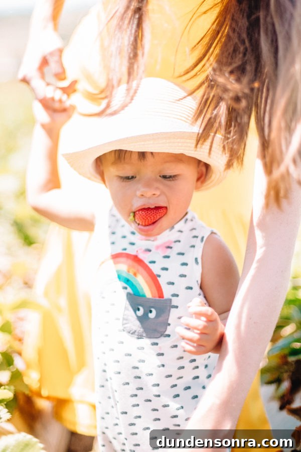 A little boy eating a strawberry