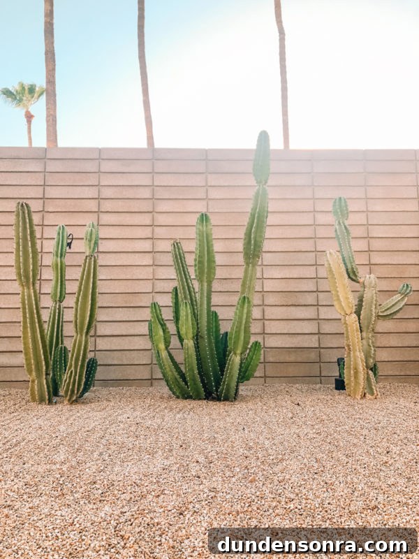 Weekend Getaway in Scottsdale: Friends, Food & Outdoor Fun 14 Three cacti