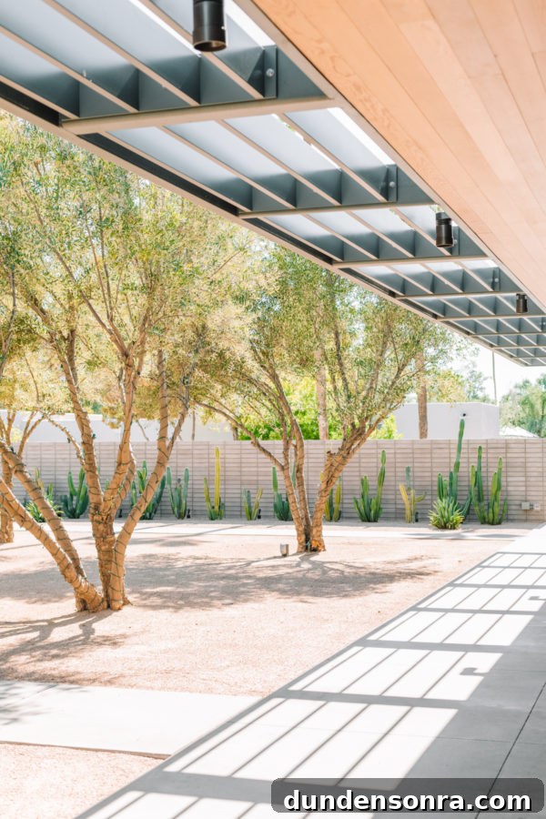 Weekend Getaway in Scottsdale: Friends, Food & Outdoor Fun 8 A yard with cacti and trees