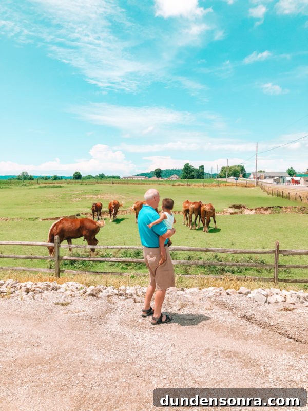 Family Lake Getaway: A Weekend of Fun, Fishing, and Relaxation 5 Two people looking at cows