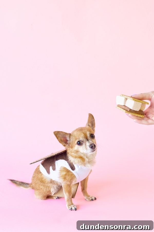 DIY S'mores Halloween Costume for Dogs
