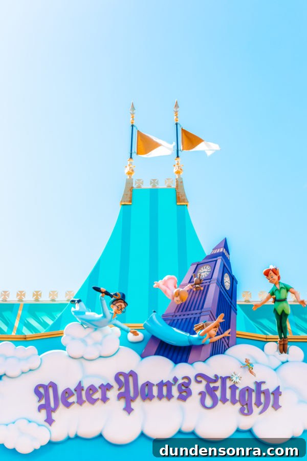 Magic Kingdom with Toddlers