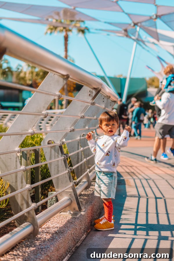 Disney World with Toddlers