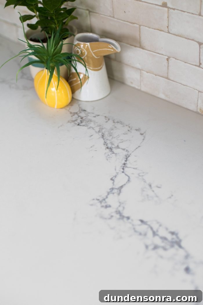 Kitchen Reveal: Before & After Remodel Tour of Our Home 19 Pink California Kitchen Renovation - Quartz Countertops