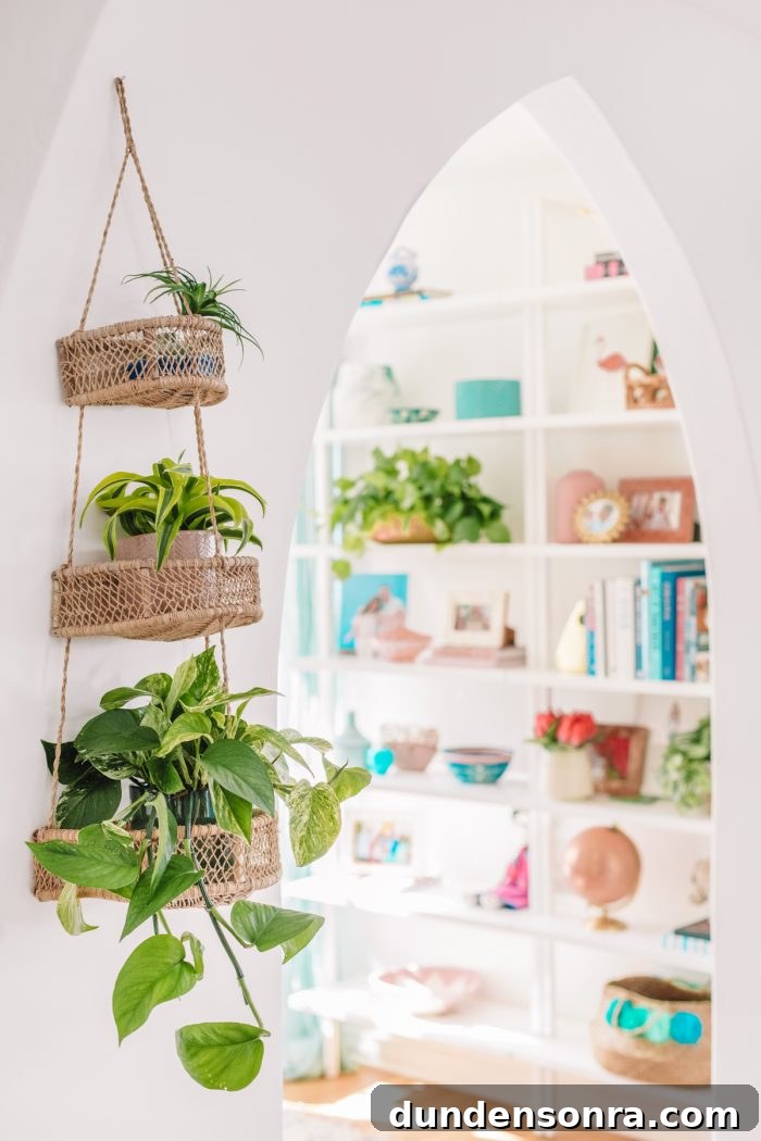 Kitchen Reveal: Before & After Remodel Tour of Our Home 26 Hanging plants