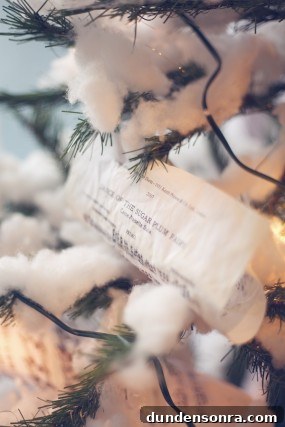 sugar-plum-fairy-inspiration