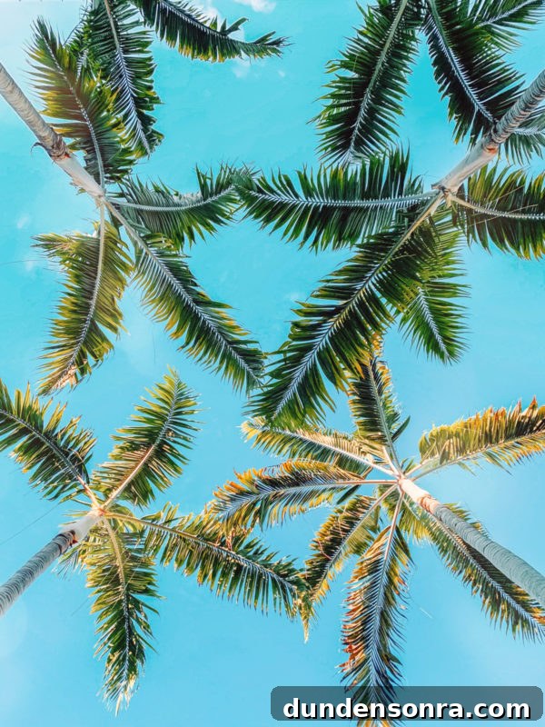 Beaches Turks and Caicos Review: Tips for Traveling with Toddlers 7 Turks and Caicos