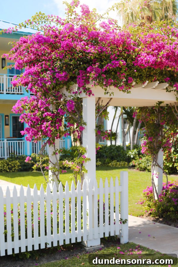 Beaches Turks and Caicos Review: Tips for Traveling with Toddlers 10 Group Trip to Beaches Turks & Caicos