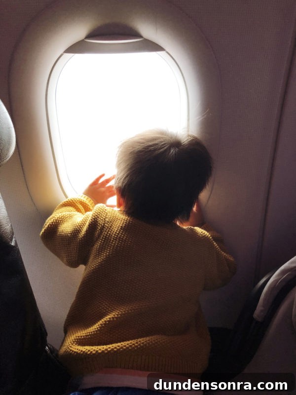 Flying With a Baby or Toddler: Tips, Gear & Plane Activities 4 A boy looking out a plane window