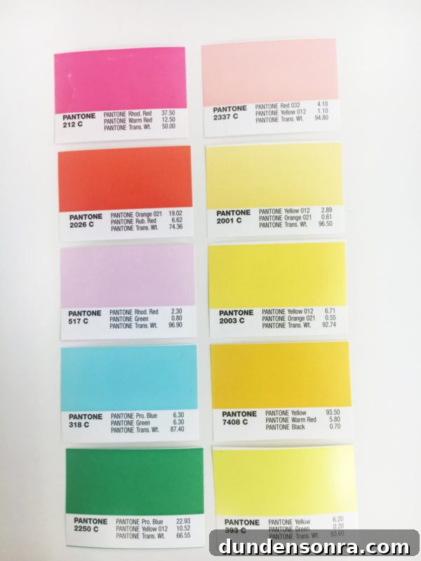 Studio DIY x Kip & Co Color Palette