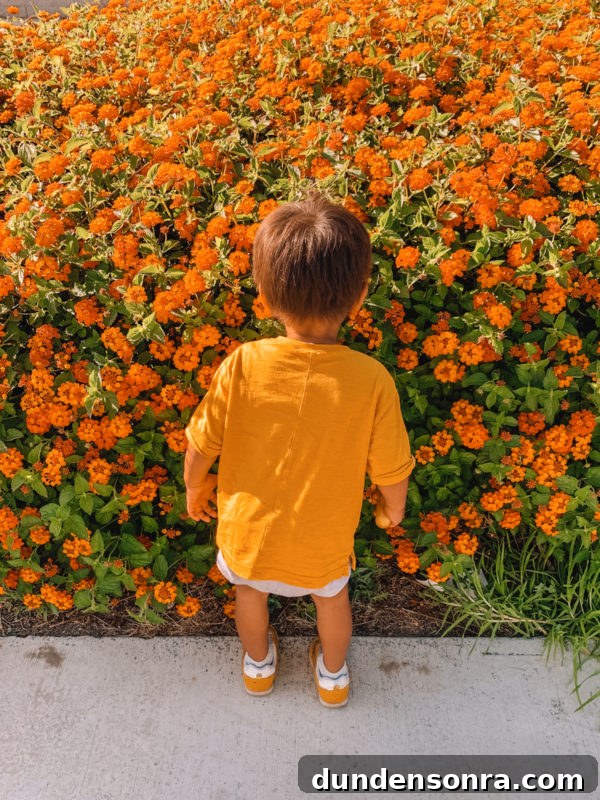 Real Moms Speak: Religion, Spirituality, and Family Life 3 A little boy standing in front of a flower